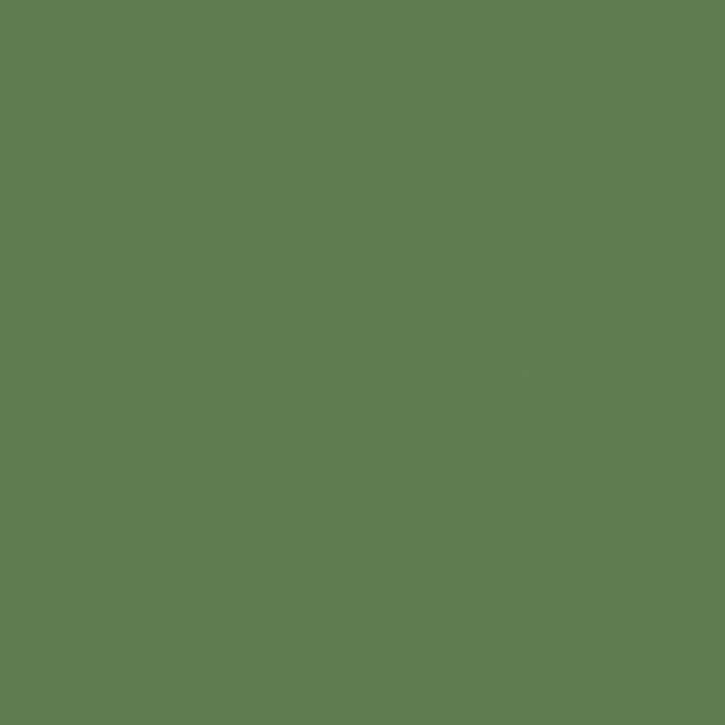 Bamboo Forest Green - Solid Color decorative plywood panel